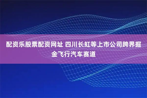 配资乐股票配资网址 四川长虹等上市公司跨界掘金飞行汽车赛道