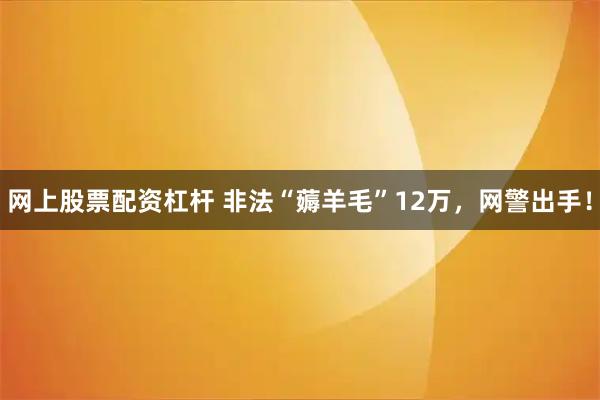 网上股票配资杠杆 非法“薅羊毛”12万，网警出手！