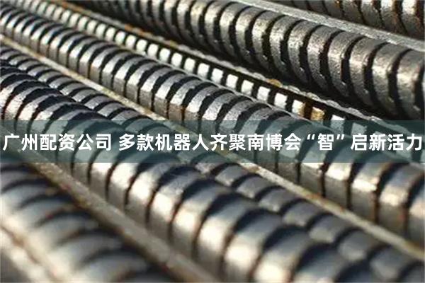 广州配资公司 多款机器人齐聚南博会“智”启新活力