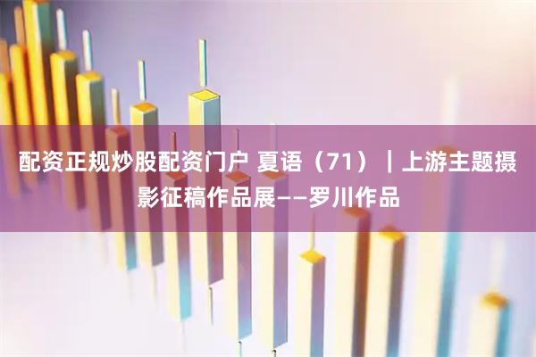 配资正规炒股配资门户 夏语（71）｜上游主题摄影征稿作品展——罗川作品